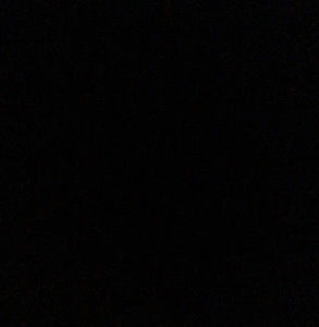 Meet your Posher, Abbey